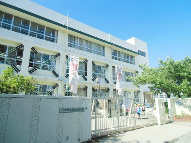 小学校　茨木市立葦原小学校（小学校）まで605m
