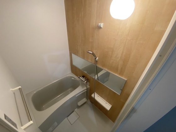 バス・シャワールーム　※別部屋の写真です