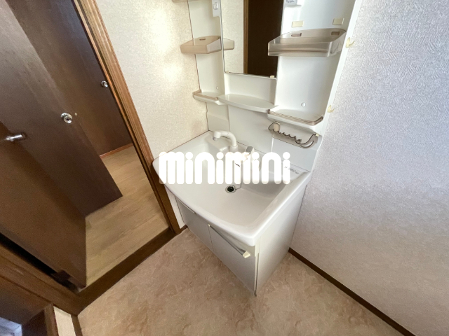 洗面設備　シャワー付きの洗面台です。