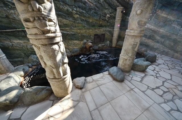 その他共有部分　温泉施設あり