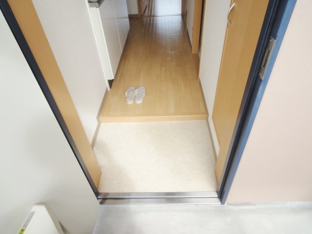 玄関　写真は別号室のものです。