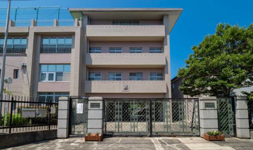 小学校　清泉小学校（小学校）まで857m