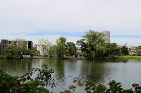 その他　石神井池（その他）まで600m