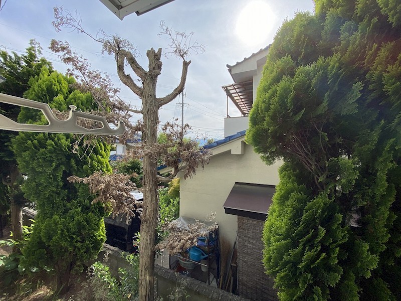 バルコニー　眺望（イメージ）