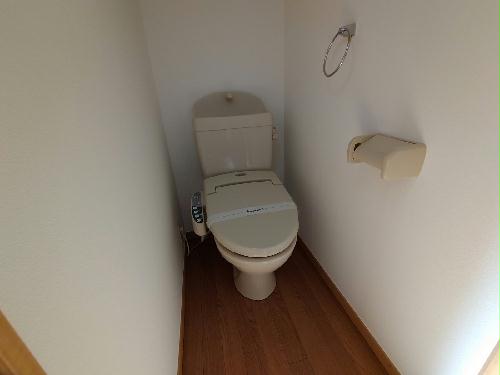 トイレ　温水洗浄便座設置