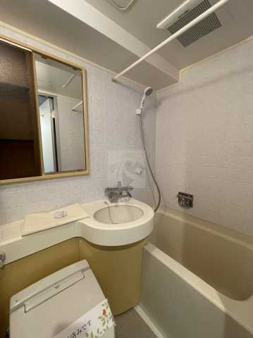 バス・シャワールーム　別部屋の写真になります