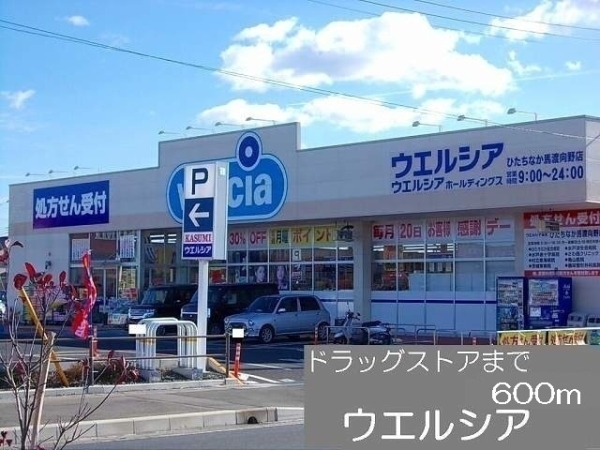 その他　ウエルシア（その他）まで600m