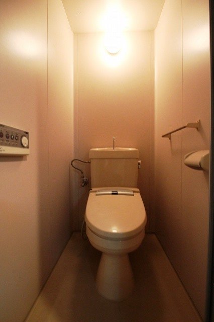 トイレ　同物件別号室のものです。