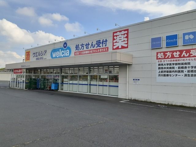 ドラックストア　ウエルシア前橋富士見町店（ドラッグストア）まで700m