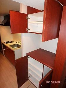 玄関　（別タイプ参考写真）サンシティアヴァンツァーレ文京本郷　文京