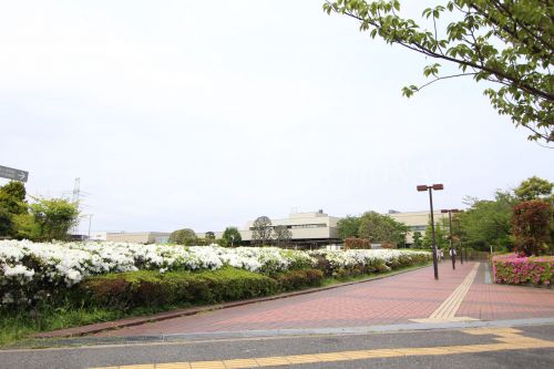 図書館　浦安市立中央図書館（図書館）まで2024m