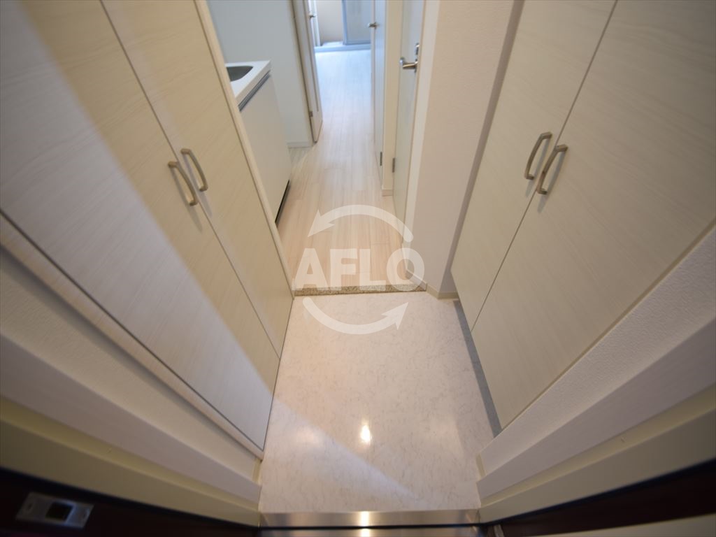 玄関　エグゼ難波南V　玄関