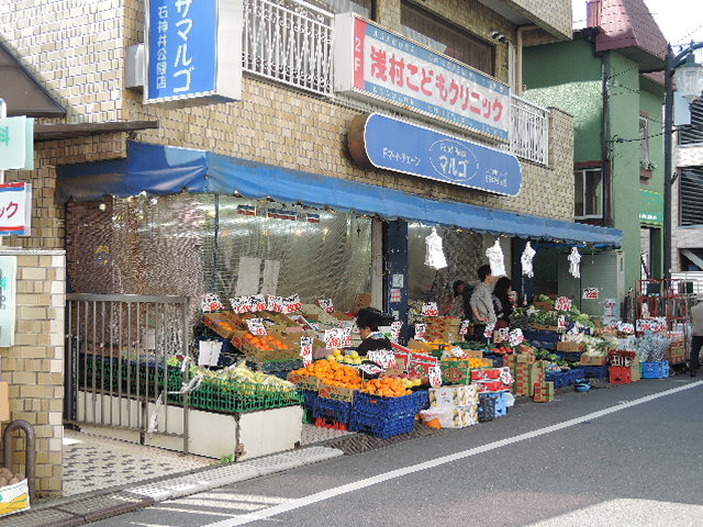 その他　マルゴ青果石神井公園店（その他）まで253m