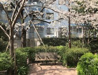 公園　ひふみ公園（公園）まで147m