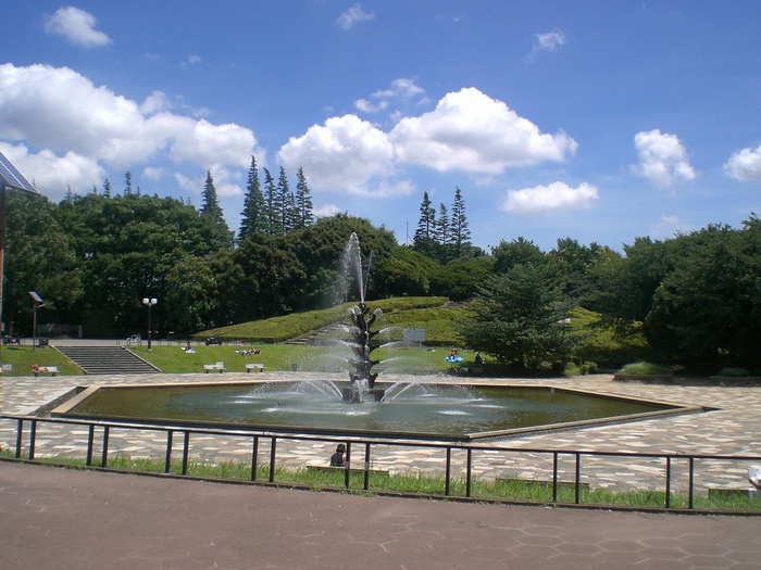 公園　世田谷公園（公園）まで808m