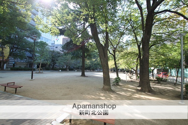公園　新町北公園（公園）まで50m