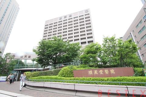 大学・短大　私立順天堂大学（大学・短大）まで610m