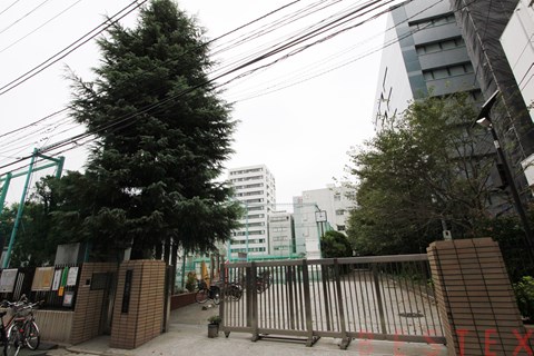 中学校　文京区立本郷台中学校（中学校）まで496m