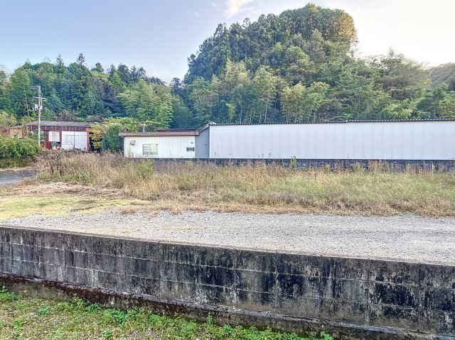 眺望　2024年11月撮影※現況を優先致します。