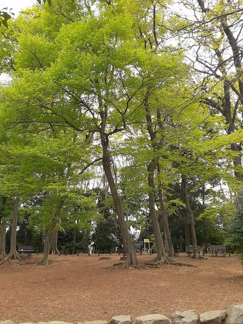 公園　どんぐり山の森緑地（公園）まで128m