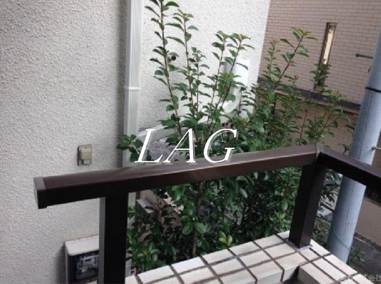 バルコニー　バルコニーです。