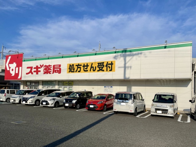 ドラックストア　スギ薬局小松南店（ドラッグストア）まで603m