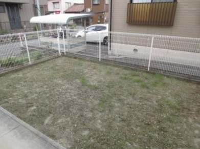 庭