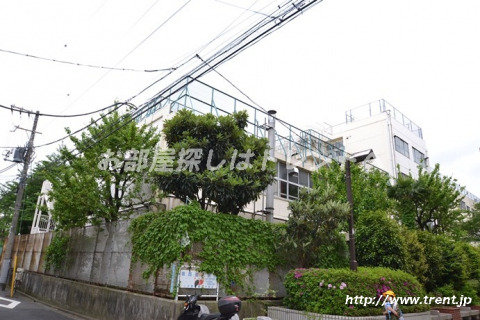 小学校　中野区立 塔山小学校（小学校）まで550m