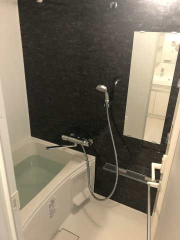 バス・シャワールーム　落ち着いた空間のお風呂です
