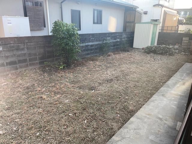 庭