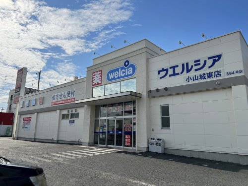 ドラックストア　ウエルシア小山城東店（ドラッグストア）まで504m