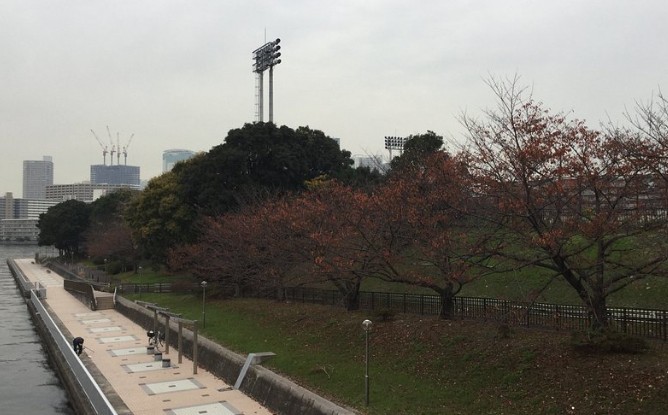 公園　潮見運動公園（公園）まで1108m