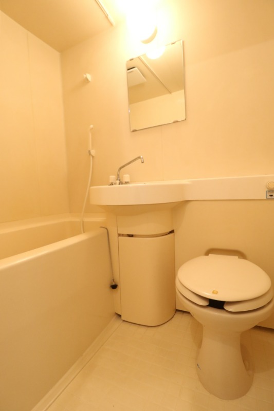 トイレ　トイレも気になるポイント