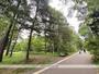 その他　豊平公園（その他）まで522m