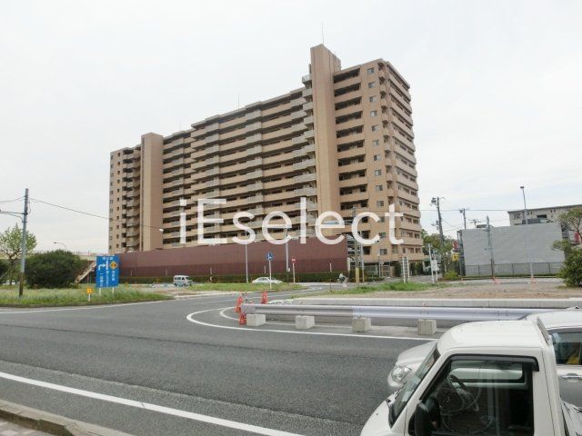 眺望　駐車場