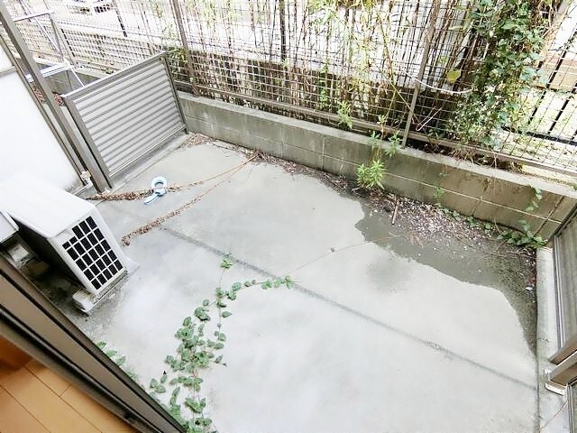 庭