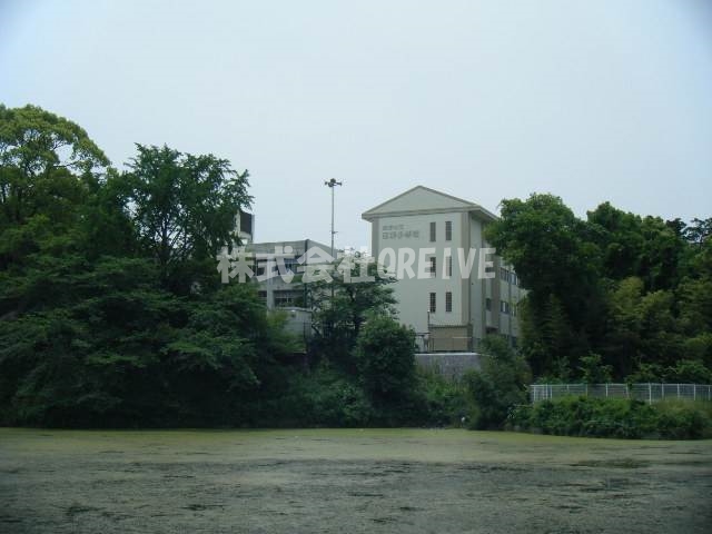 小学校　草津市立志津小学校（小学校）まで662m