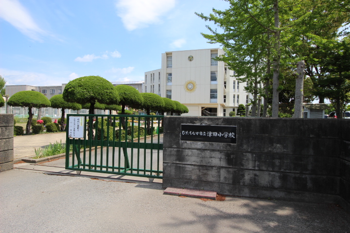 小学校　津田小（小学校）まで260m