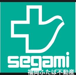 ドラックストア　ドラッグセガミ美野島店（ドラッグストア）まで260m