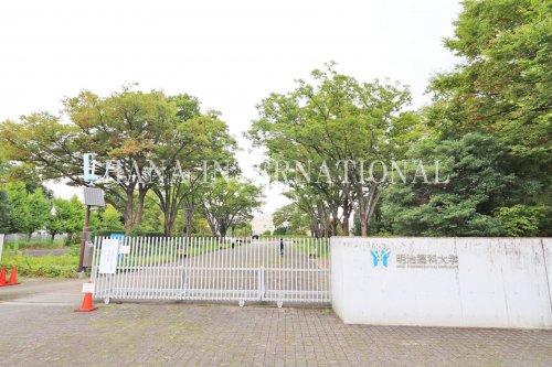 大学・短大　明治薬科大学（大学・短大）まで446m