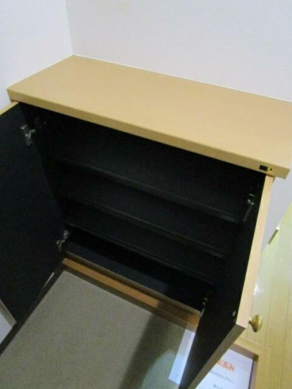 玄関　※参考写真（同物件別部屋です)