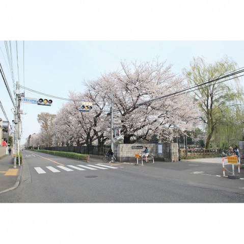 大学・短大　東京学芸大学（大学・短大）まで80m