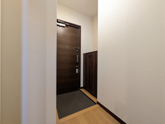 玄関　清掃前のお写真です。