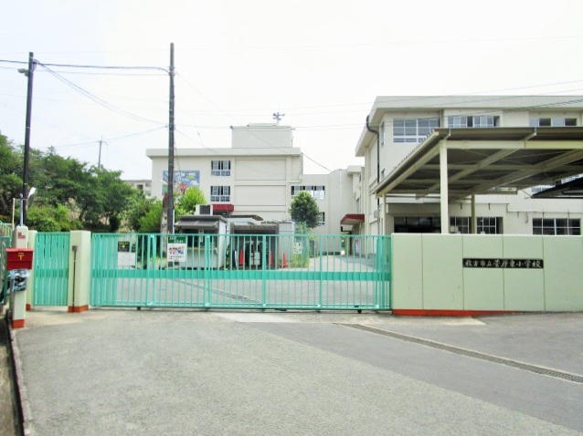 小学校　枚方市立菅原東小学校（小学校）まで972m
