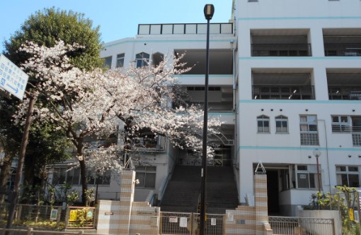 小学校　新宿区立四谷第六小学校（小学校）まで315m