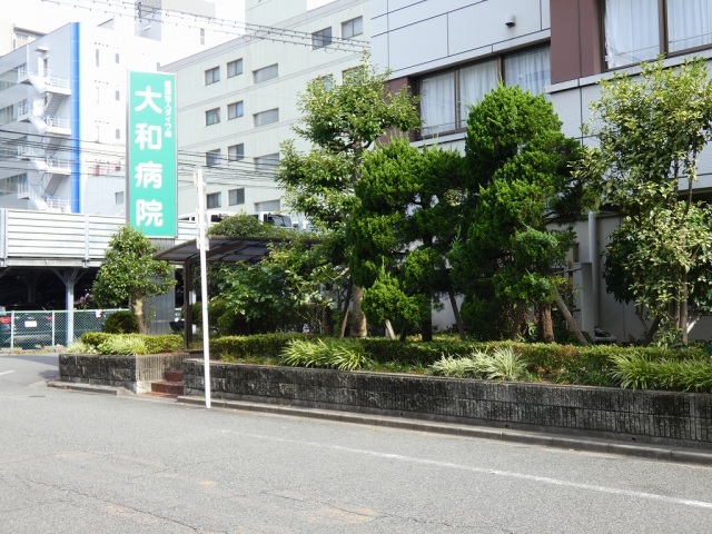 病院　特定医療法人ダイワ会大和病院（病院）まで295m