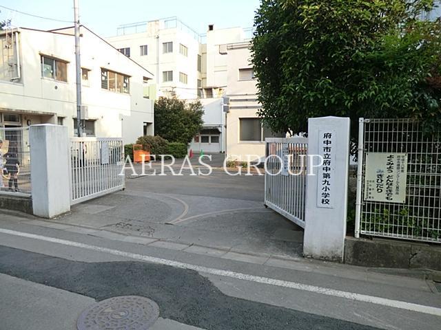 小学校　府中市立府中第九小学校（小学校）まで629m