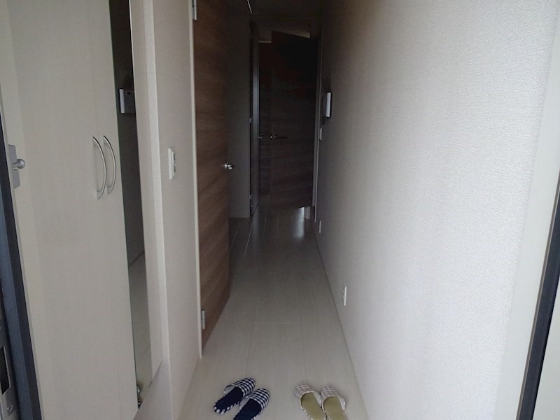 玄関　※他号室の参考写真となります。