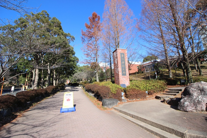 大学・短大　東京薬科大学（大学・短大）まで1100m