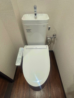 リバーサイドマリオのトイレ写真